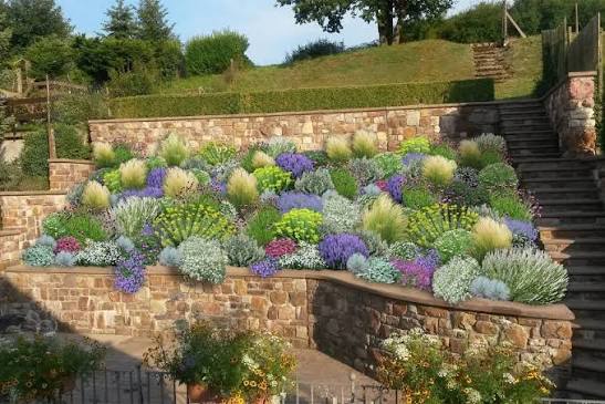 landscape-maintenance-39